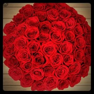 Meet your Posher, Hadeel